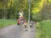 dscn2720_small.jpg