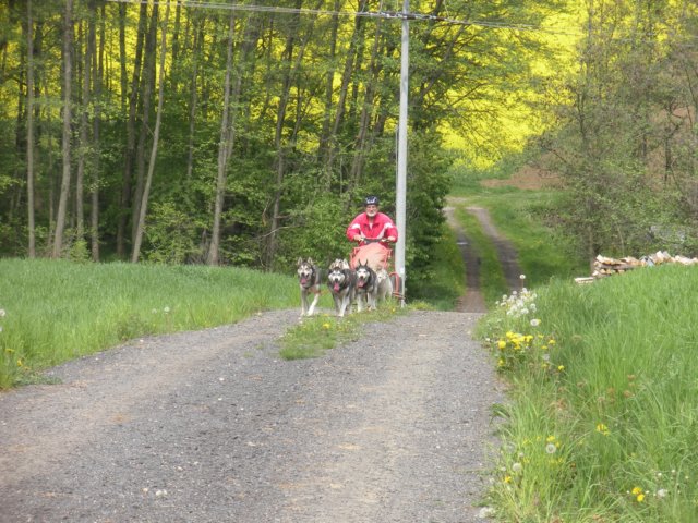 dscn2722.jpg