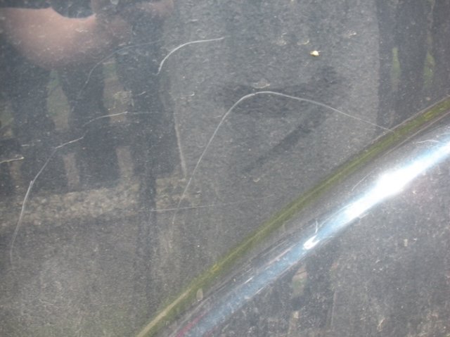 dscn2731.jpg