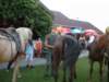 dscn0526_small.jpg