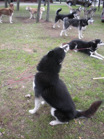 dscn3881.jpg