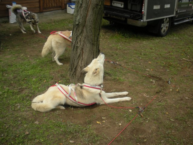 dscn3885.jpg