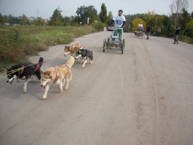 dscn3896.jpg
