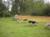 dscn3906_small.jpg
