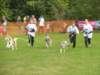dscn3926_small.jpg