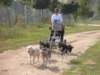 dscn3932_small.jpg