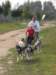 dscn3934_small.jpg