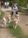 dscn3936_small.jpg