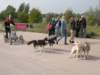 dscn3943_small.jpg