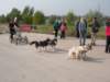 dscn3944_small.jpg