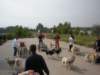 dscn3945_small.jpg