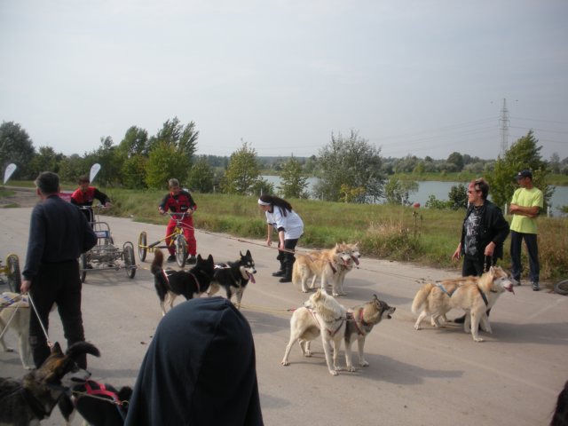 dscn3946.jpg