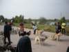 dscn3946_small.jpg