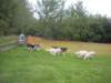 dscn4020_small.jpg