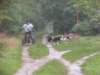 dscn4025_small.jpg