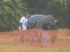 dscn4031_small.jpg