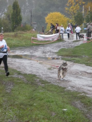 dscn4037.jpg