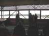 dscn4046_small.jpg