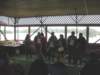 dscn4048_small.jpg