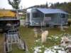 dscn1032_small.jpg