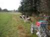 dscn1034_small.jpg