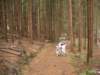 dscn1038_small.jpg