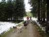 dscn1040_small.jpg