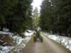dscn1041_small.jpg