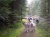 dscn1076_small.jpg