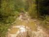 dscn1083_small.jpg