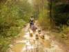 dscn1084_small.jpg