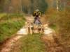 dscn1086_small.jpg
