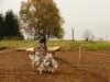 dscn1092_small.jpg