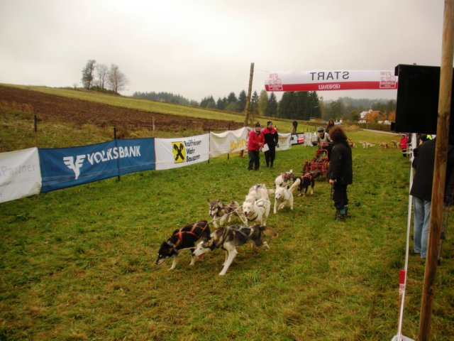 dscn1132.jpg