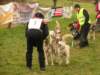 dscn1133_small.jpg