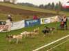 dscn1135_small.jpg