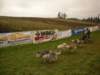 dscn1137_small.jpg