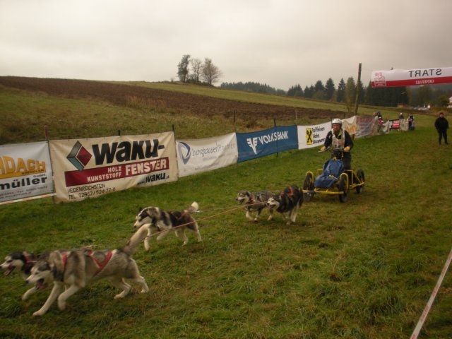 dscn1138.jpg