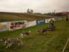 dscn1138_small.jpg