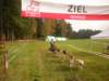 dscn1143_small.jpg
