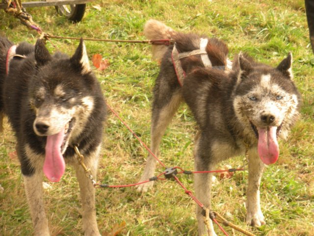 dscn1144.jpg