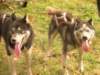 dscn1144_small.jpg