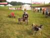 dscn1152_small.jpg