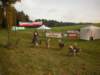 dscn1153_small.jpg