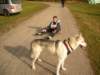dscn1155_small.jpg