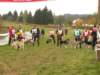 dscn1166_small.jpg
