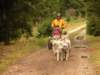 dscn1283_small.jpg