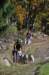 _096_small.jpg