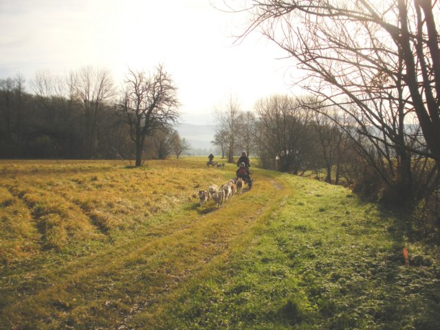 dscn1291.jpg