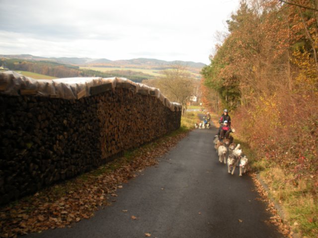 dscn1294.jpg